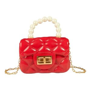 Shireen mini jelly handbag silicone sling bag red Color